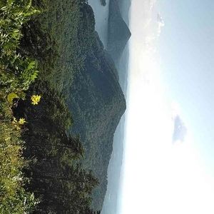 Meet your Posher, Chad